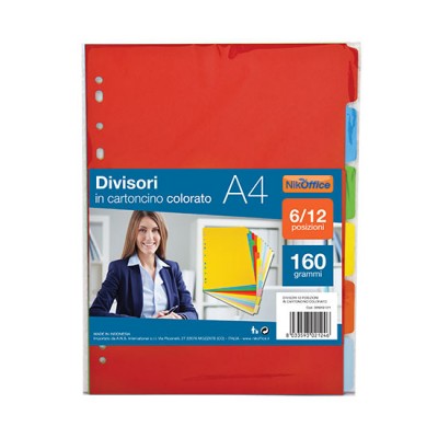 CARTONCINO 6 POSIZ. COLORATI