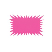 SEGNAPREZZI FLASH MINI CF.100 F.TO CM 12X8